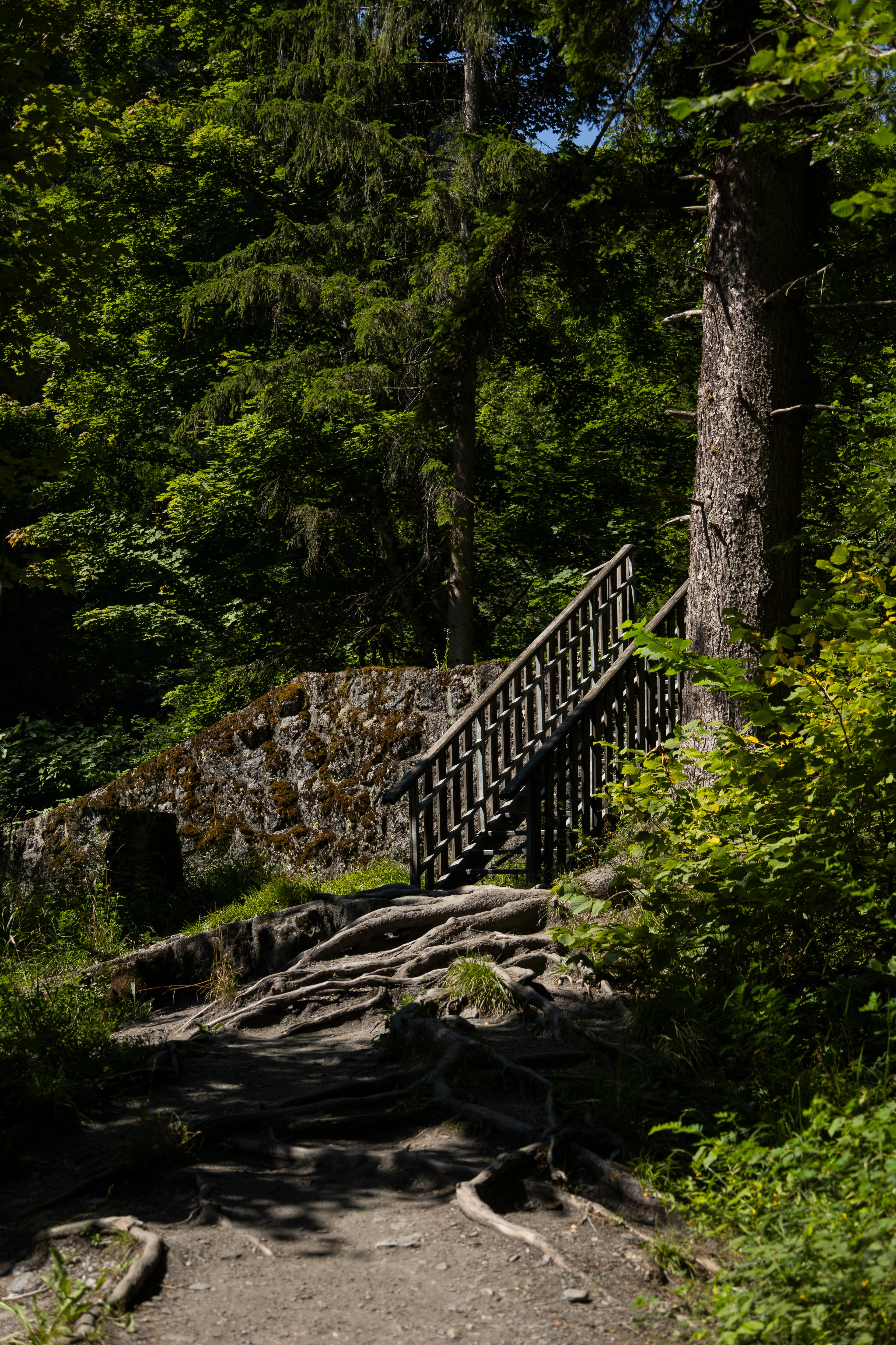 Escalier racine Brides