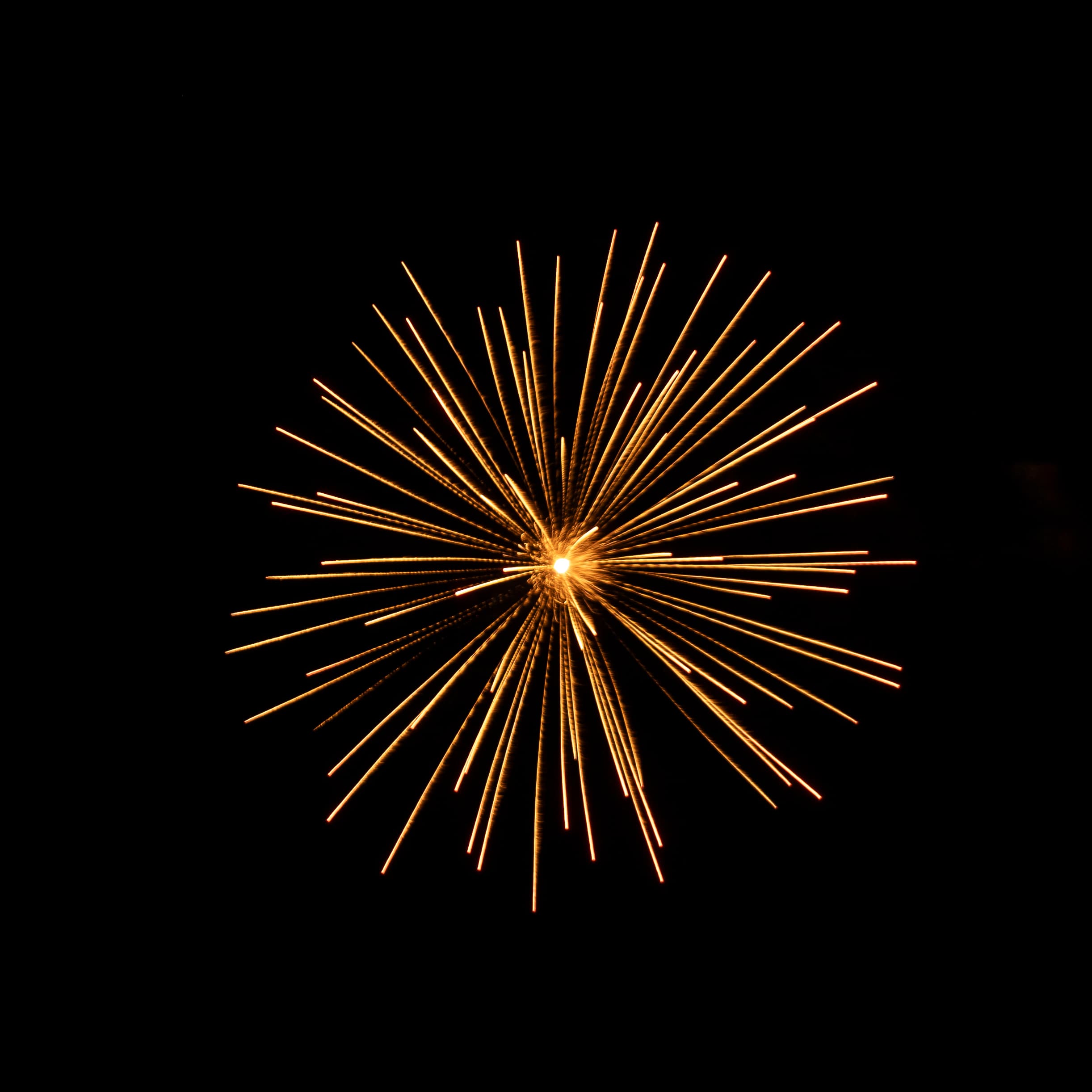 Feux d'artifice - "Pissenlit"