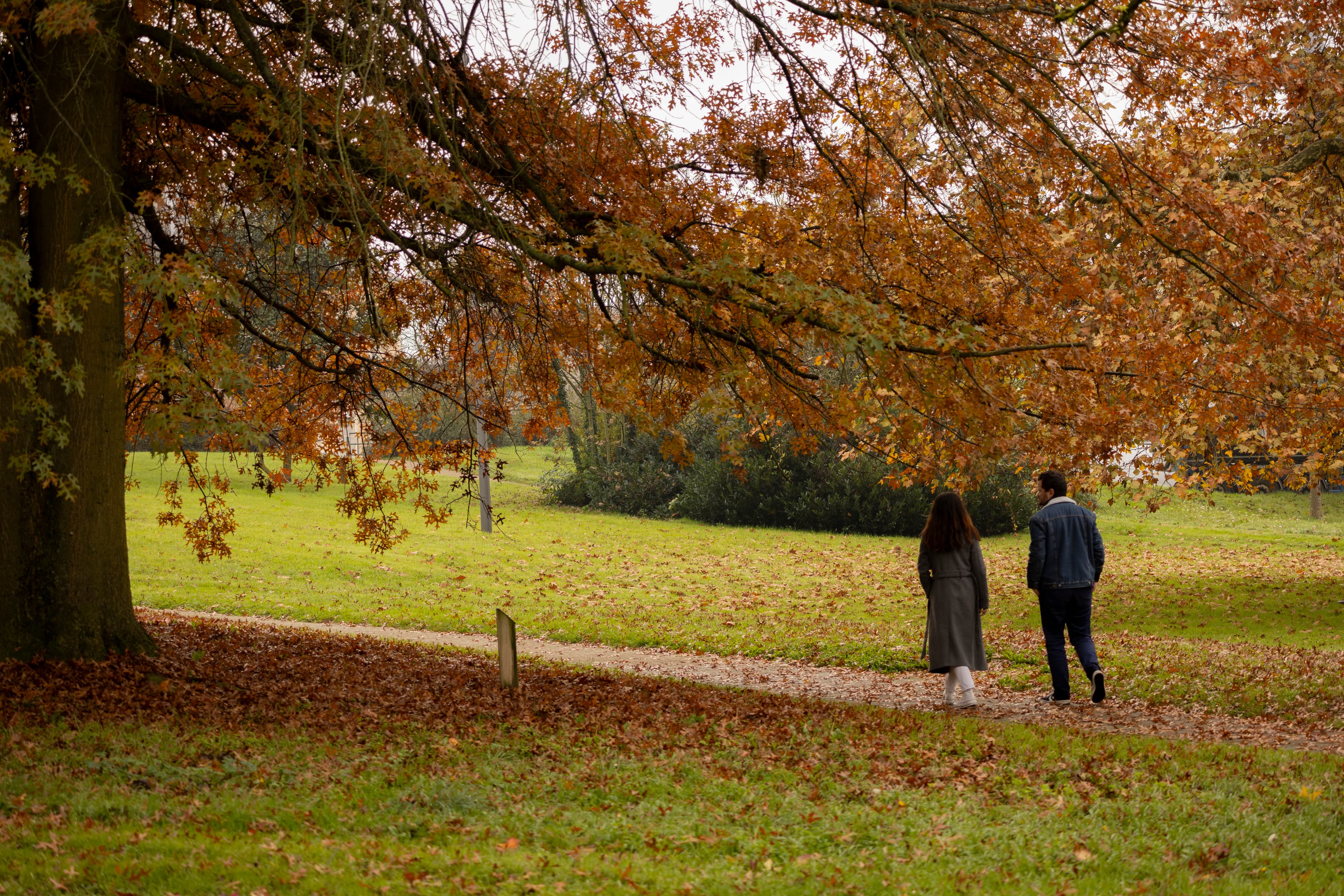 Léa & Guillaume Automne - Marche