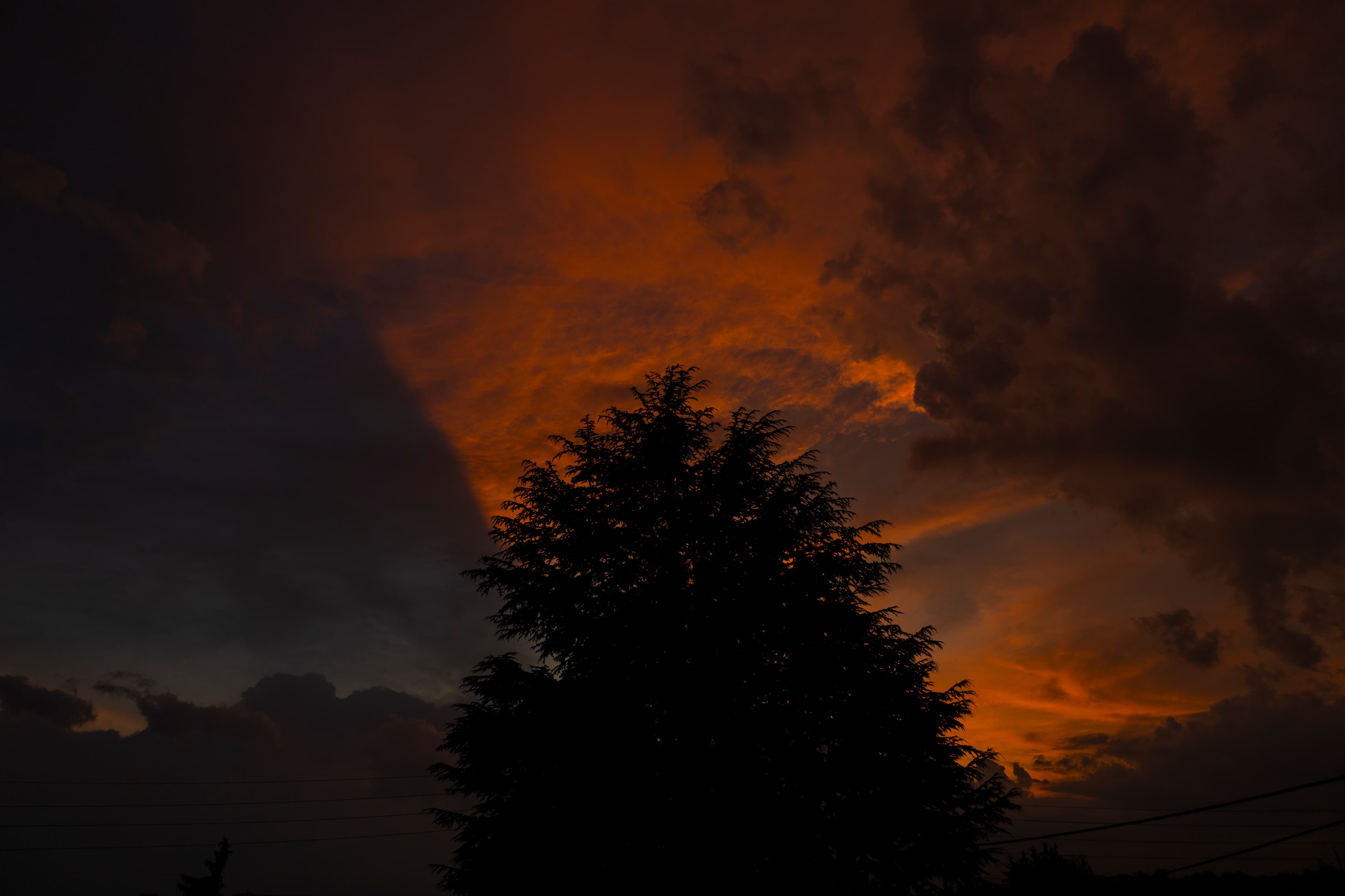 arbres, orage, et couché de soleil
