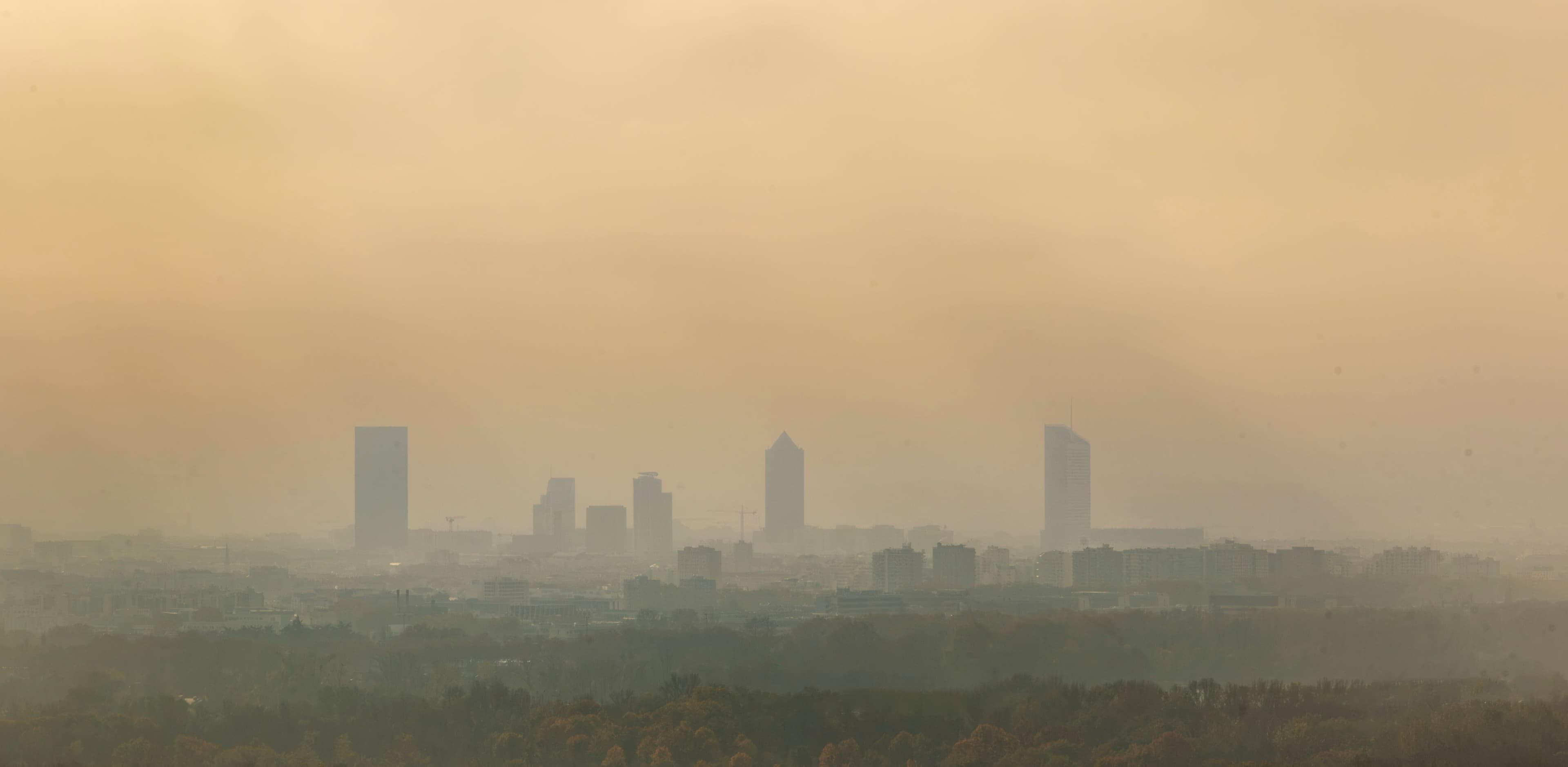 Lyon brume